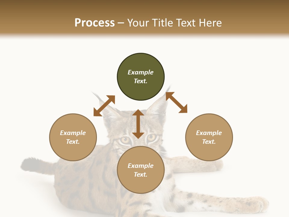 Purebred Cat Ears Isolated On White PowerPoint Template