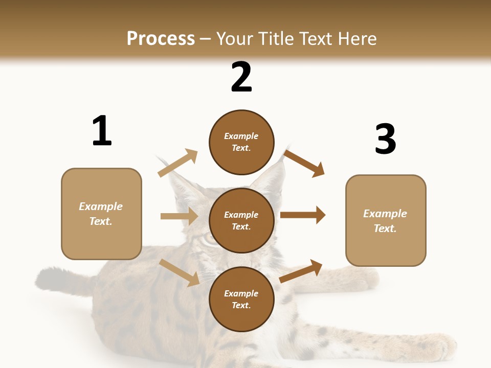 Purebred Cat Ears Isolated On White PowerPoint Template