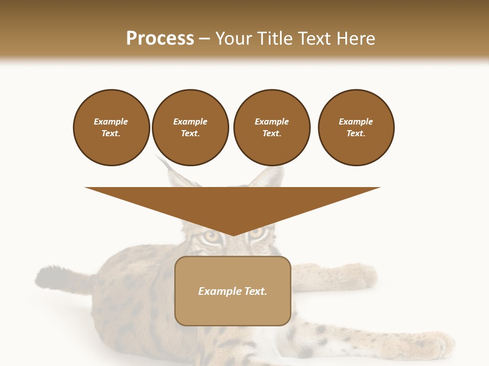 Purebred Cat Ears Isolated On White PowerPoint Template