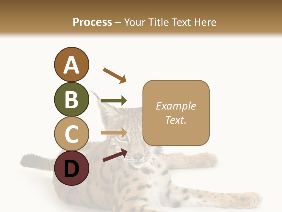 Purebred Cat Ears Isolated On White PowerPoint Template