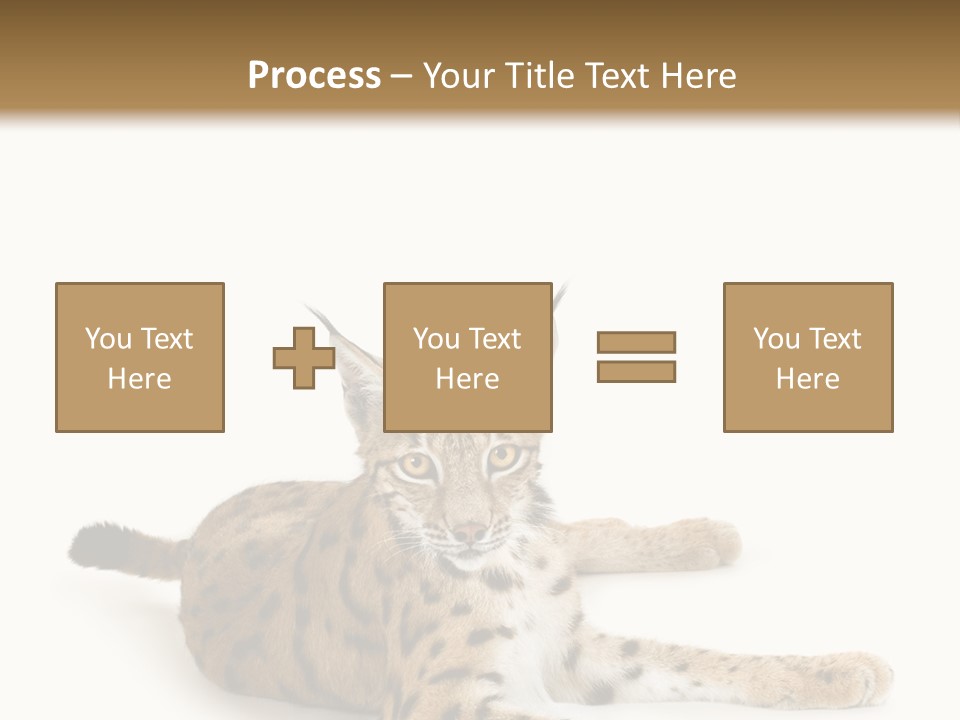 Purebred Cat Ears Isolated On White PowerPoint Template