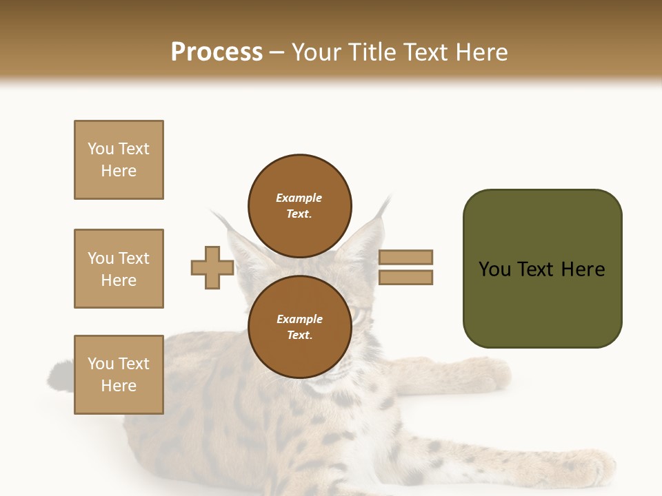 Purebred Cat Ears Isolated On White PowerPoint Template