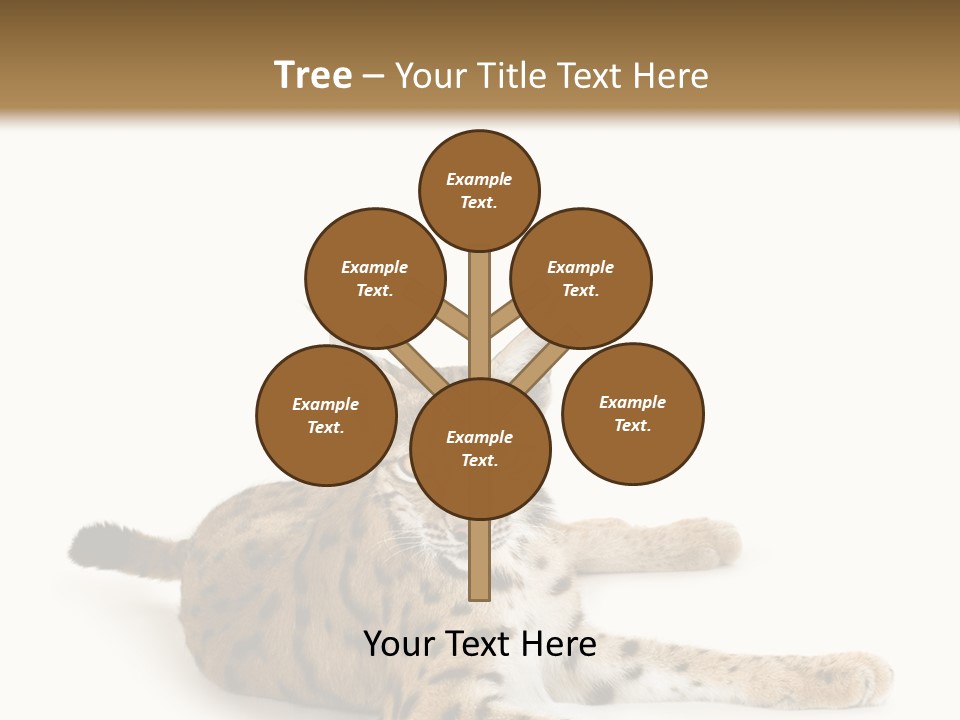 Purebred Cat Ears Isolated On White PowerPoint Template