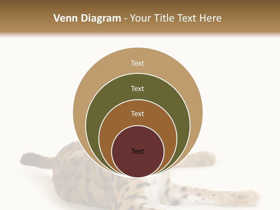 Purebred Cat Ears Isolated On White PowerPoint Template