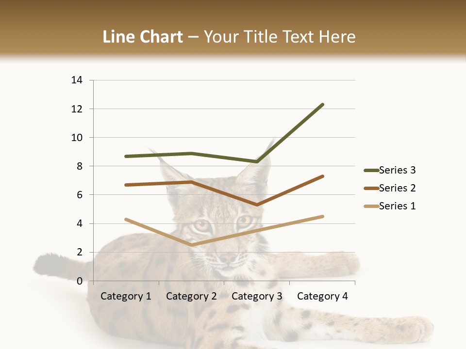 Purebred Cat Ears Isolated On White PowerPoint Template