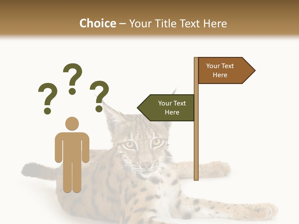 Purebred Cat Ears Isolated On White PowerPoint Template