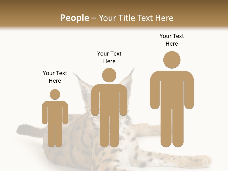 Purebred Cat Ears Isolated On White PowerPoint Template