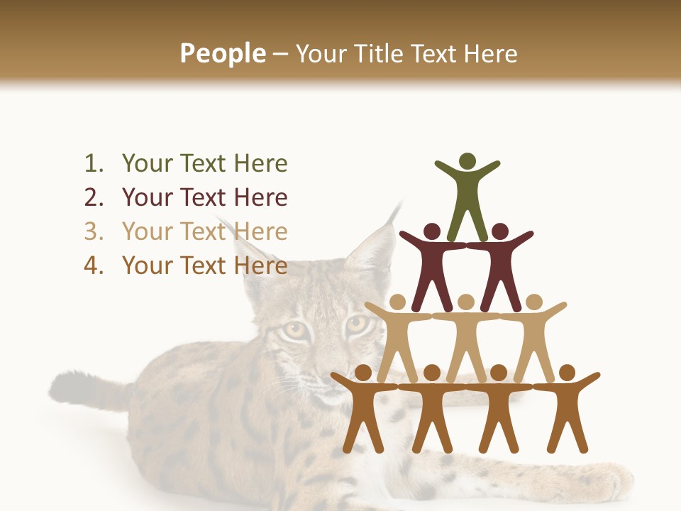 Purebred Cat Ears Isolated On White PowerPoint Template