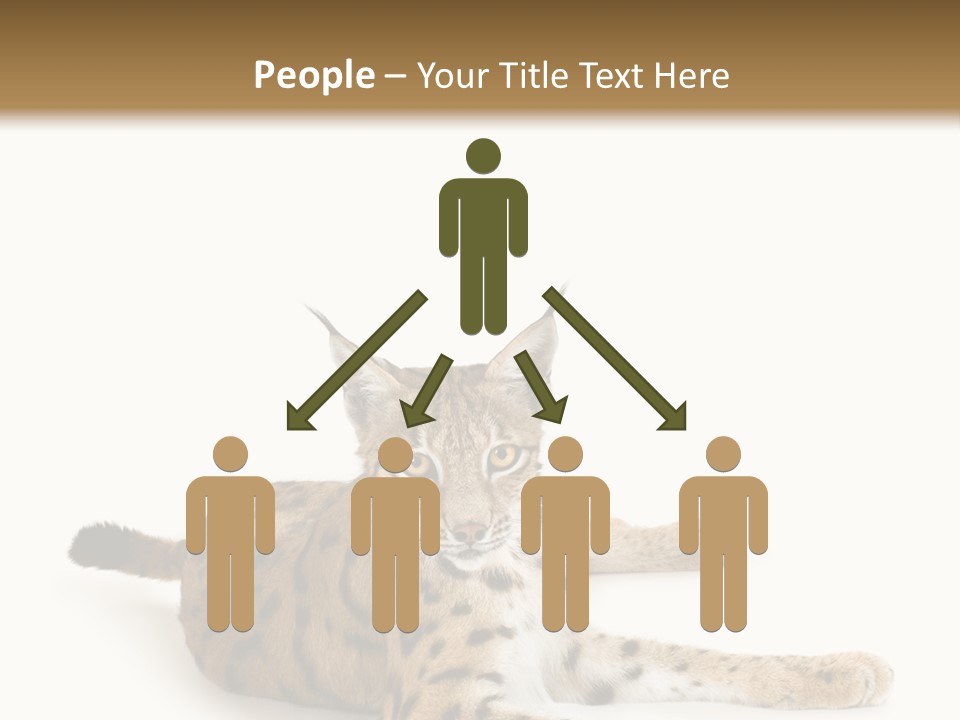 Purebred Cat Ears Isolated On White PowerPoint Template