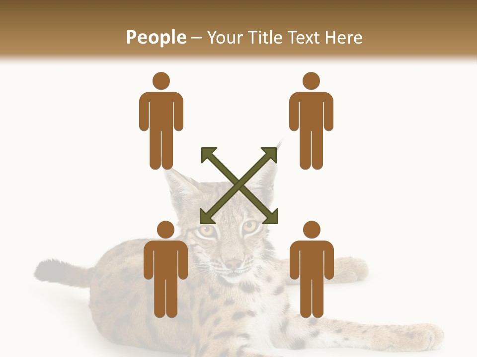 Purebred Cat Ears Isolated On White PowerPoint Template