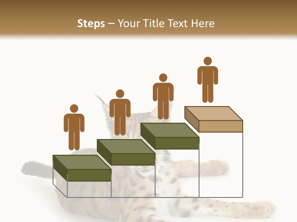 Purebred Cat Ears Isolated On White PowerPoint Template