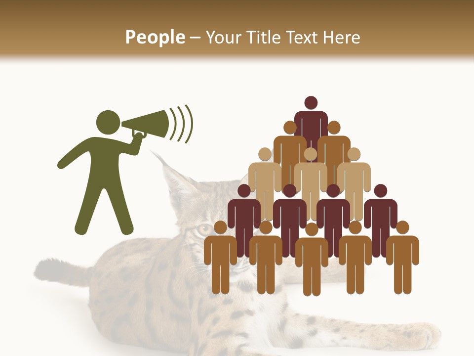 Purebred Cat Ears Isolated On White PowerPoint Template