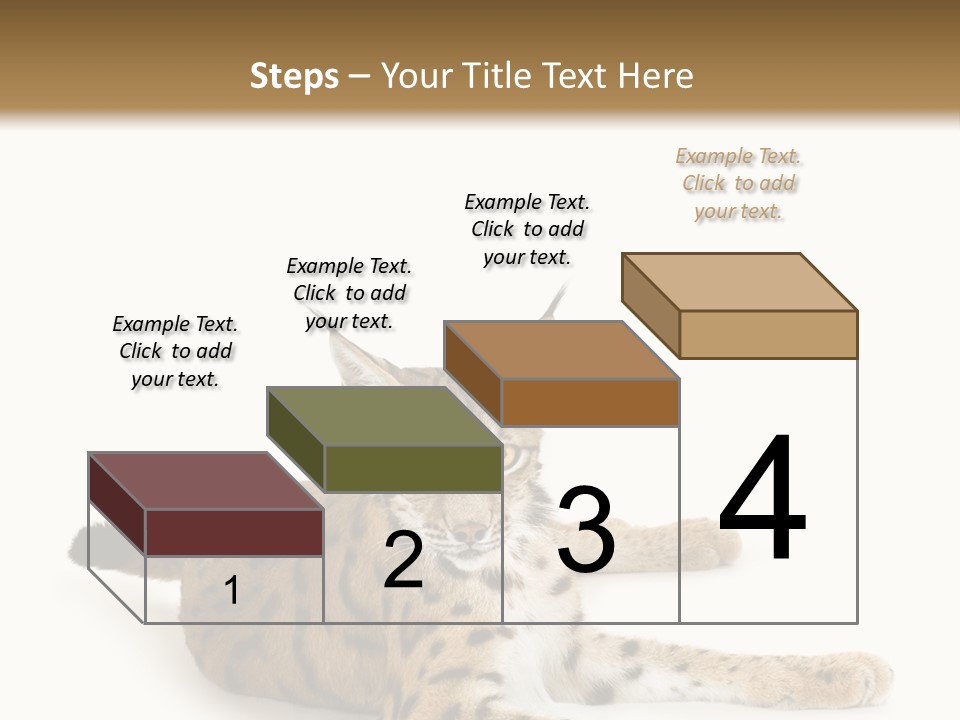 Purebred Cat Ears Isolated On White PowerPoint Template