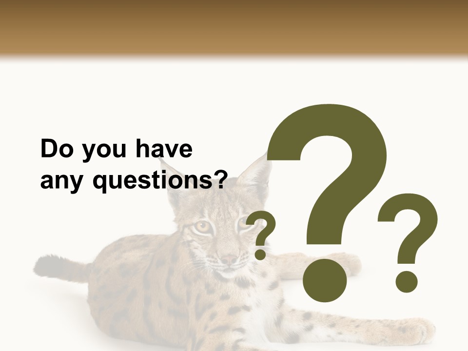 Purebred Cat Ears Isolated On White PowerPoint Template