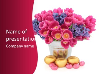 Hyacinth Beauty Pink PowerPoint Template