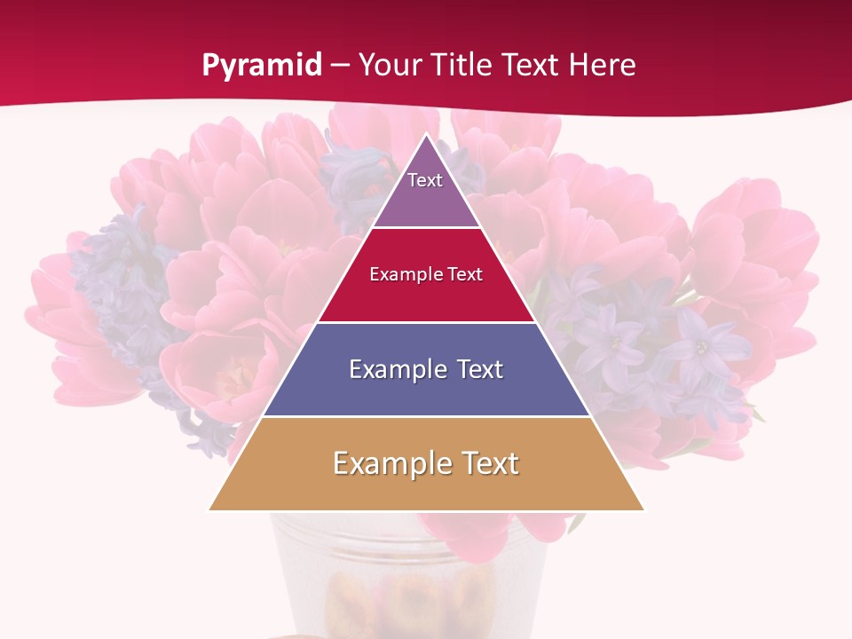 Hyacinth Beauty Pink PowerPoint Template