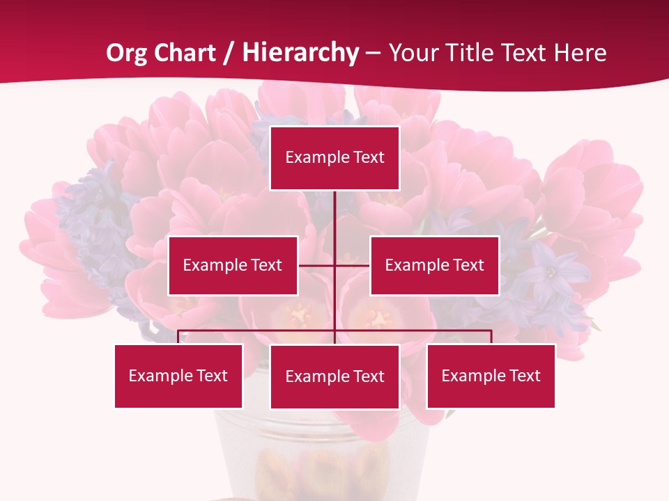 Hyacinth Beauty Pink PowerPoint Template