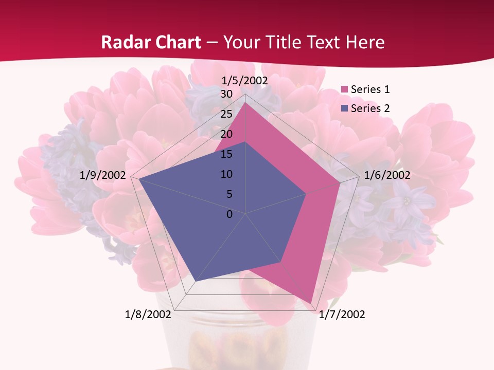 Hyacinth Beauty Pink PowerPoint Template