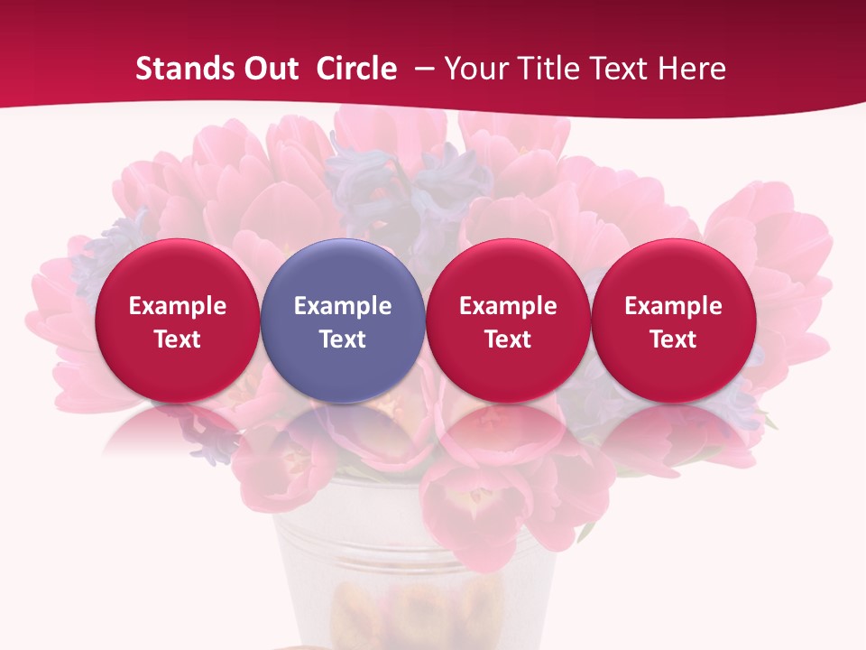 Hyacinth Beauty Pink PowerPoint Template