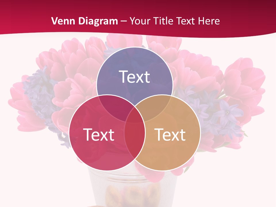 Hyacinth Beauty Pink PowerPoint Template