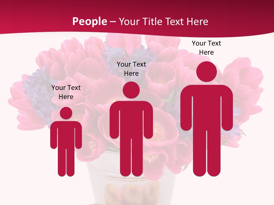 Hyacinth Beauty Pink PowerPoint Template