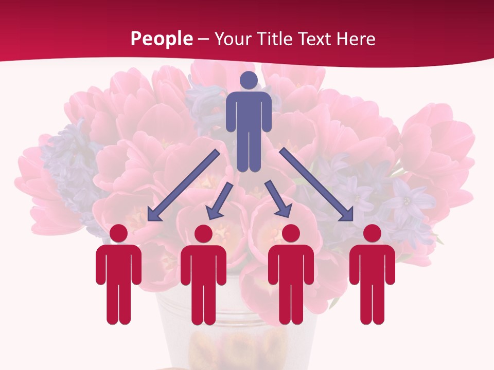 Hyacinth Beauty Pink PowerPoint Template