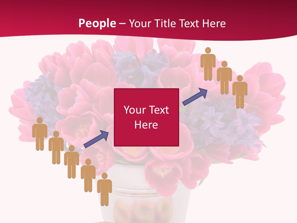 Hyacinth Beauty Pink PowerPoint Template