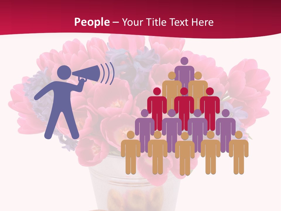 Hyacinth Beauty Pink PowerPoint Template