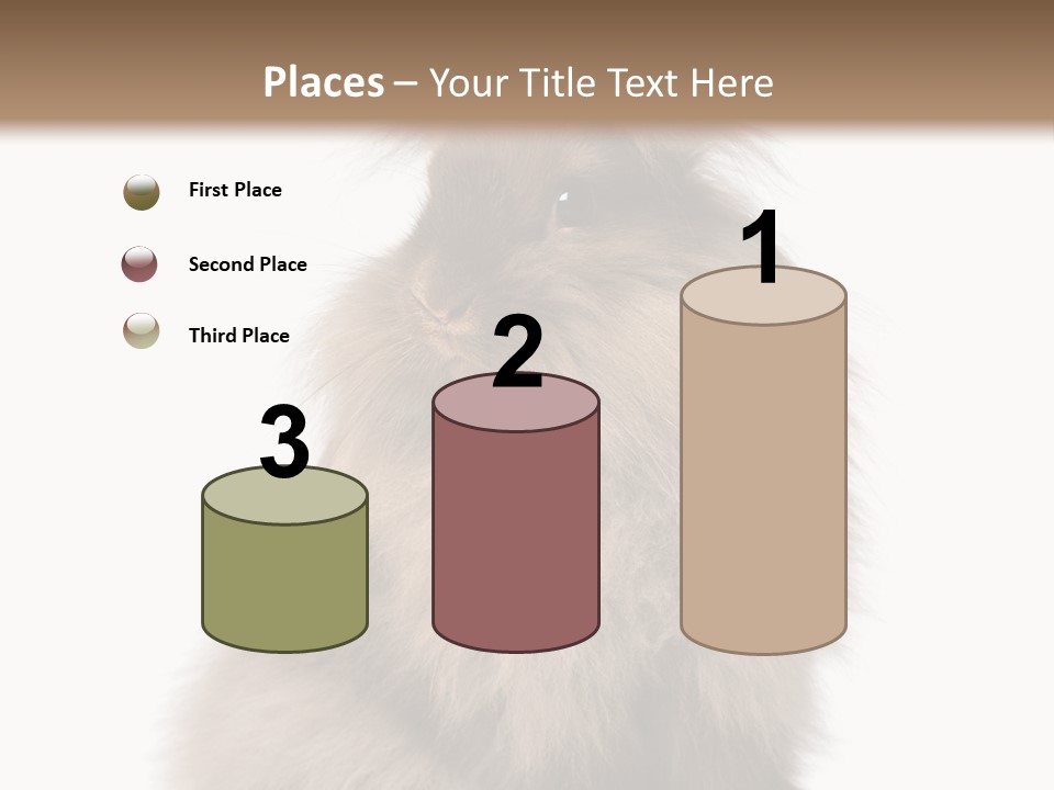 Bunny Longhaired Bunny Rabbit PowerPoint Template