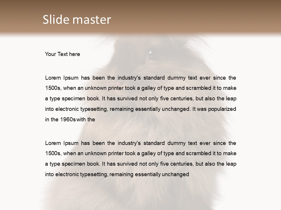 Bunny Longhaired Bunny Rabbit PowerPoint Template