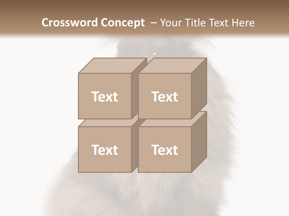 Bunny Longhaired Bunny Rabbit PowerPoint Template