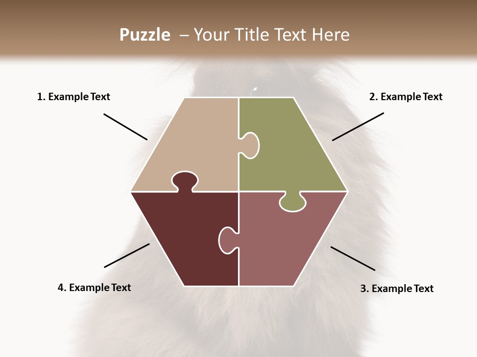 Bunny Longhaired Bunny Rabbit PowerPoint Template