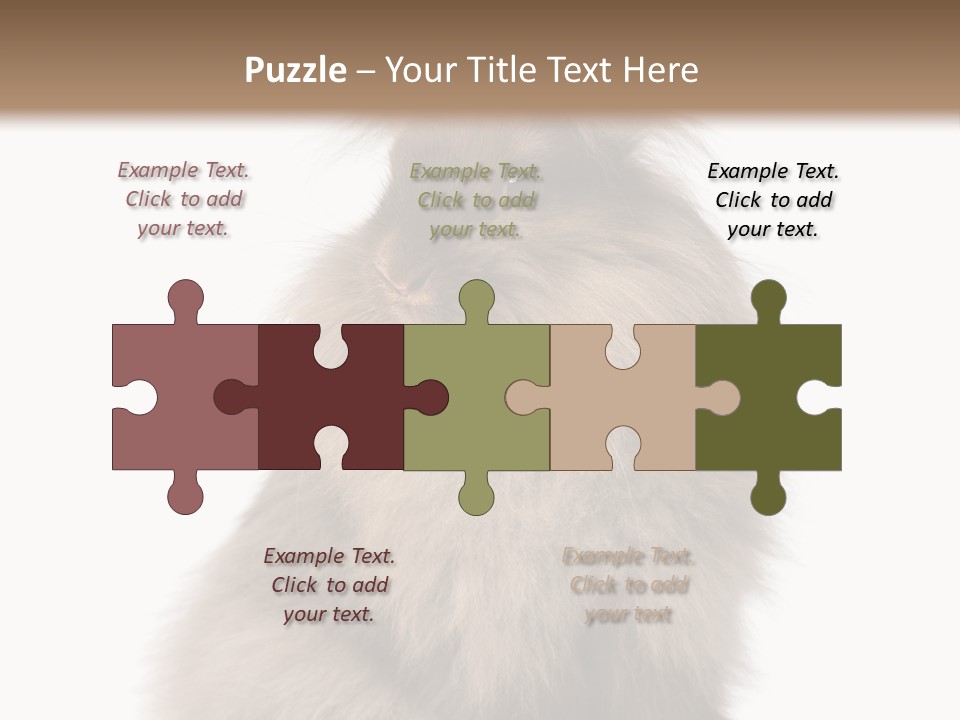 Bunny Longhaired Bunny Rabbit PowerPoint Template