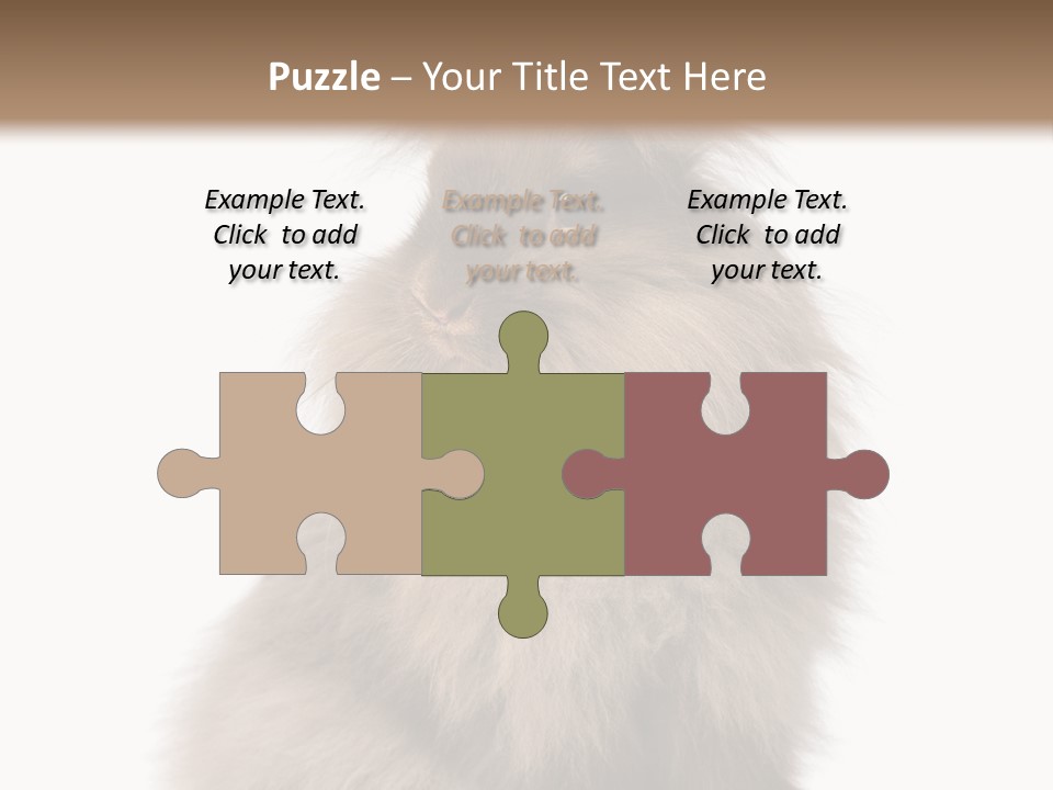 Bunny Longhaired Bunny Rabbit PowerPoint Template