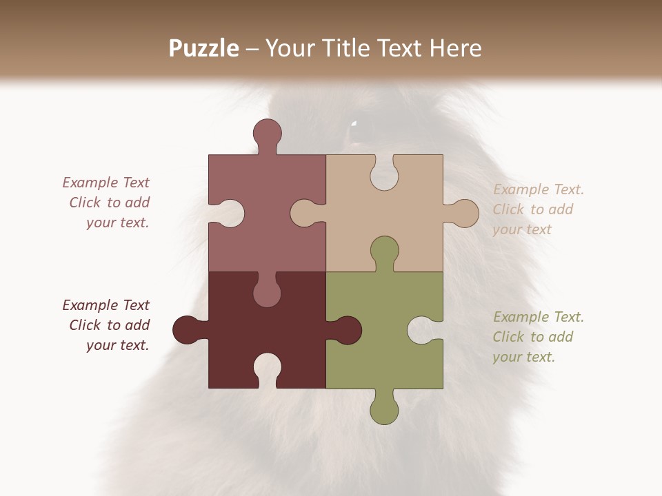 Bunny Longhaired Bunny Rabbit PowerPoint Template
