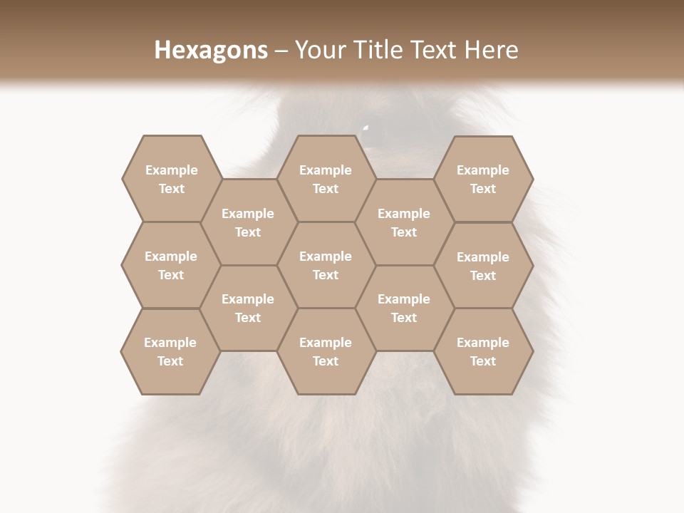 Bunny Longhaired Bunny Rabbit PowerPoint Template