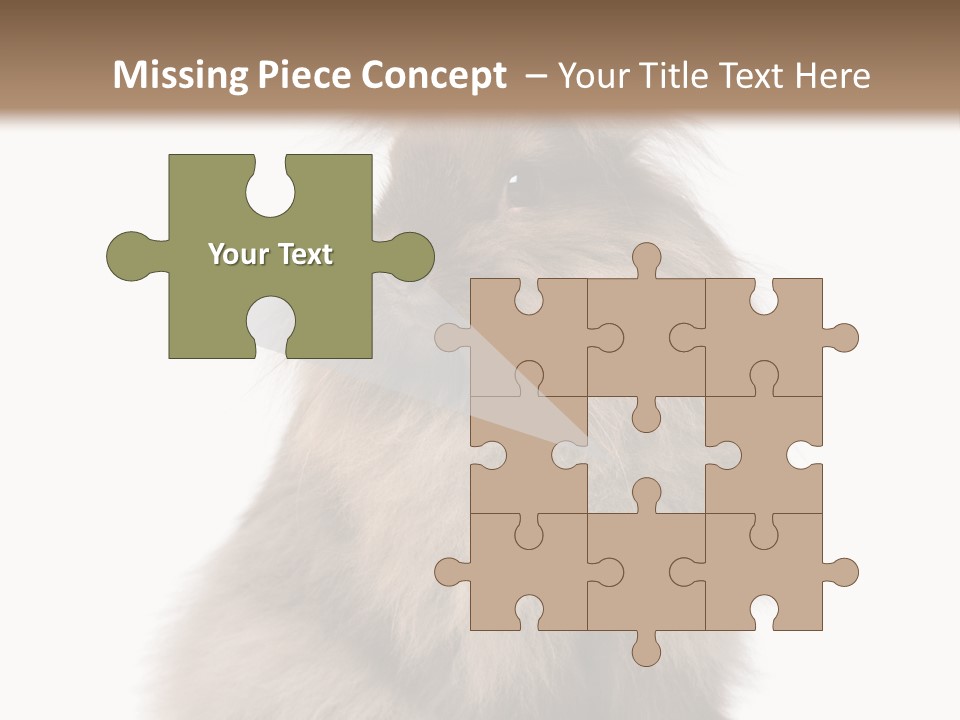 Bunny Longhaired Bunny Rabbit PowerPoint Template