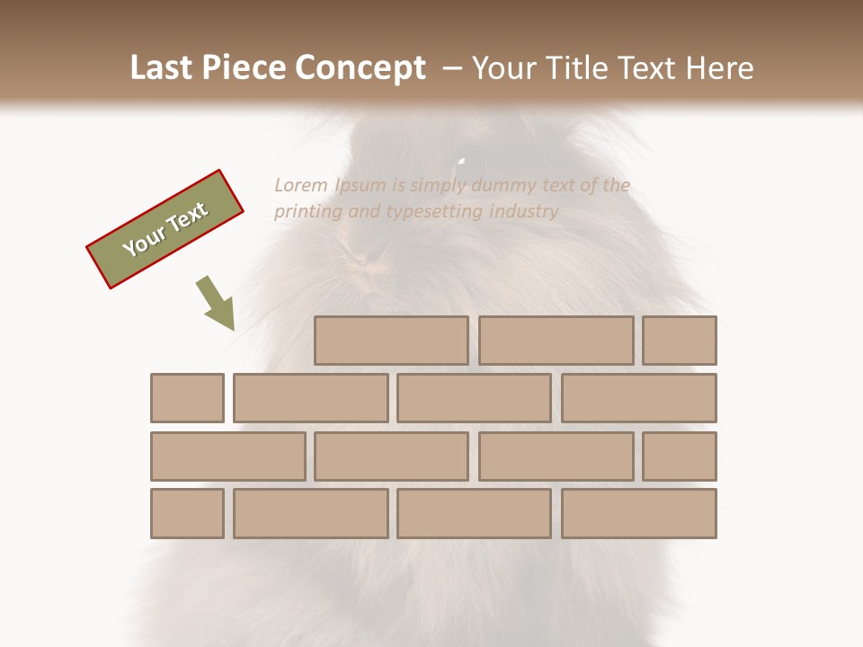 Bunny Longhaired Bunny Rabbit PowerPoint Template
