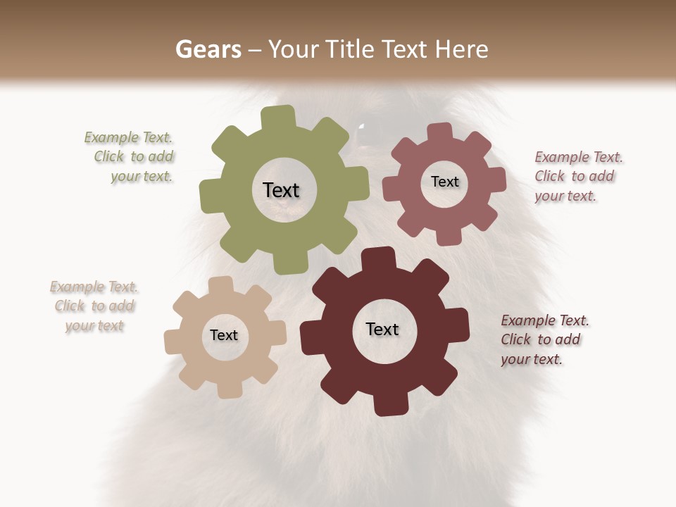 Bunny Longhaired Bunny Rabbit PowerPoint Template