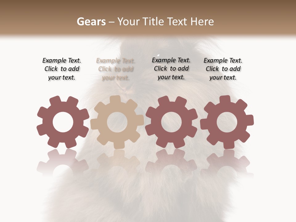 Bunny Longhaired Bunny Rabbit PowerPoint Template