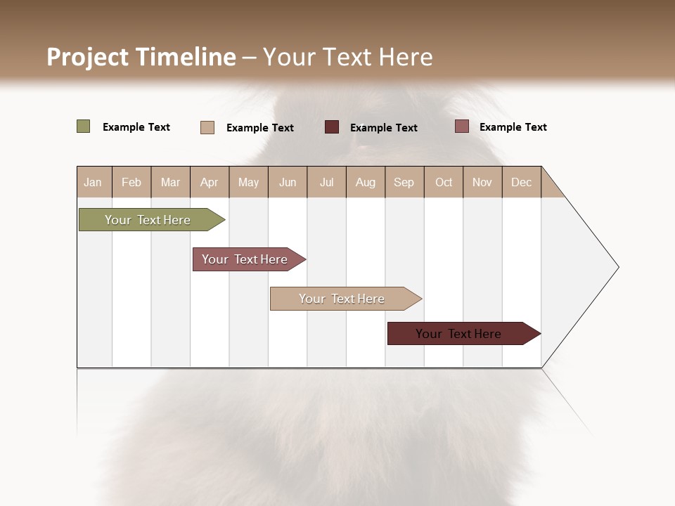Bunny Longhaired Bunny Rabbit PowerPoint Template