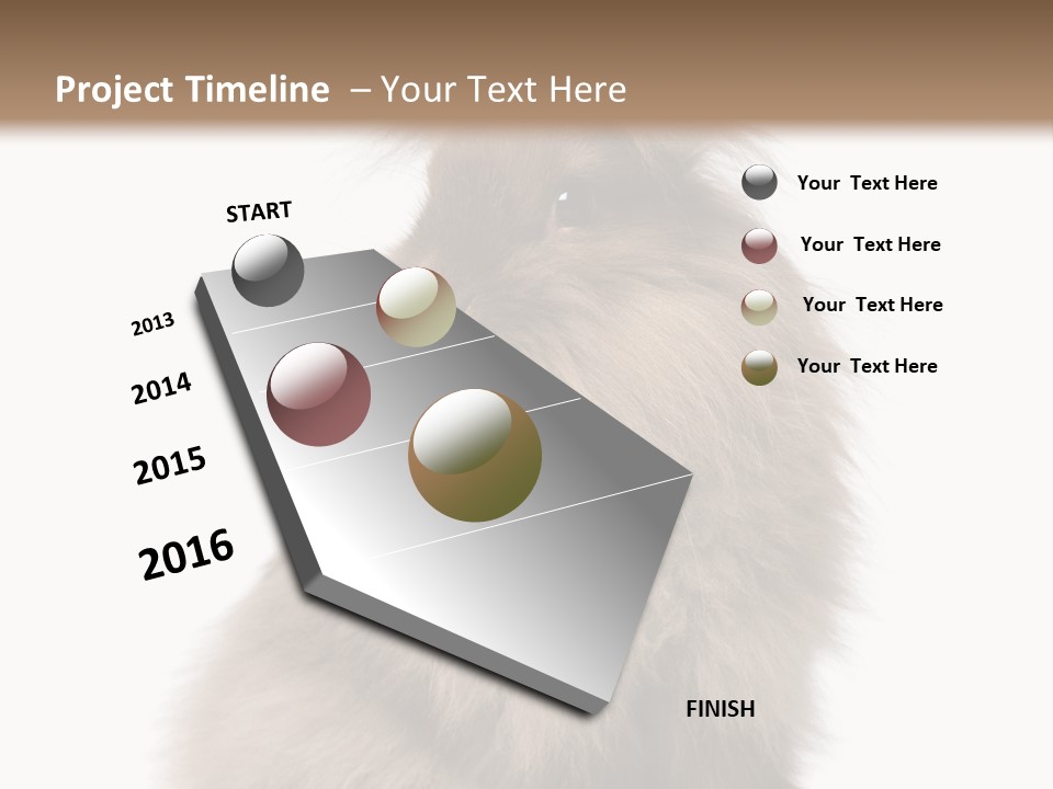 Bunny Longhaired Bunny Rabbit PowerPoint Template