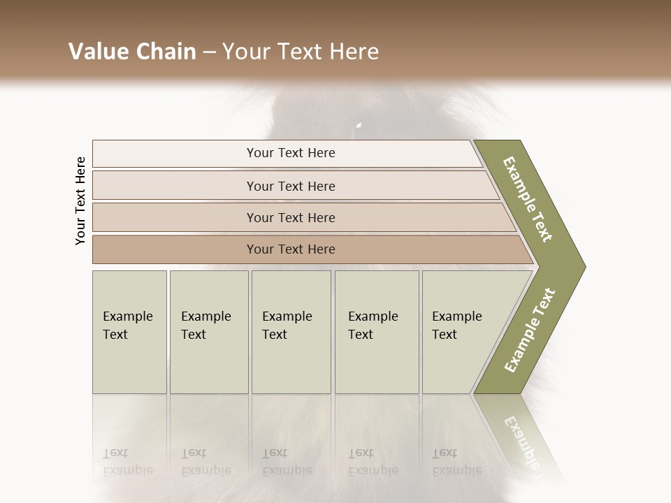 Bunny Longhaired Bunny Rabbit PowerPoint Template