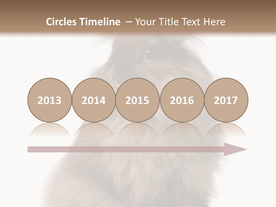 Bunny Longhaired Bunny Rabbit PowerPoint Template