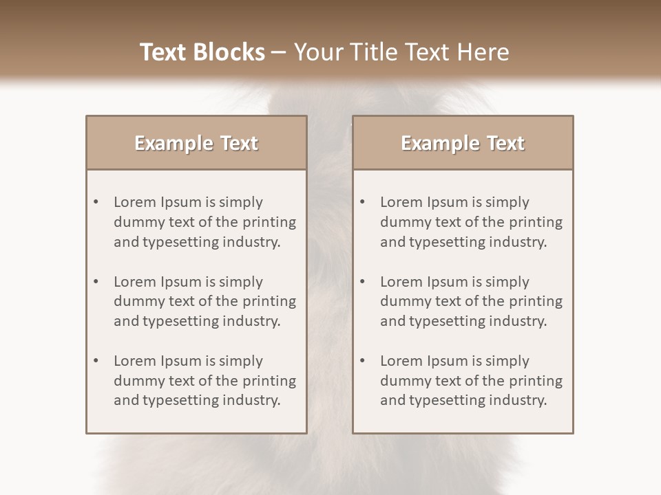 Bunny Longhaired Bunny Rabbit PowerPoint Template