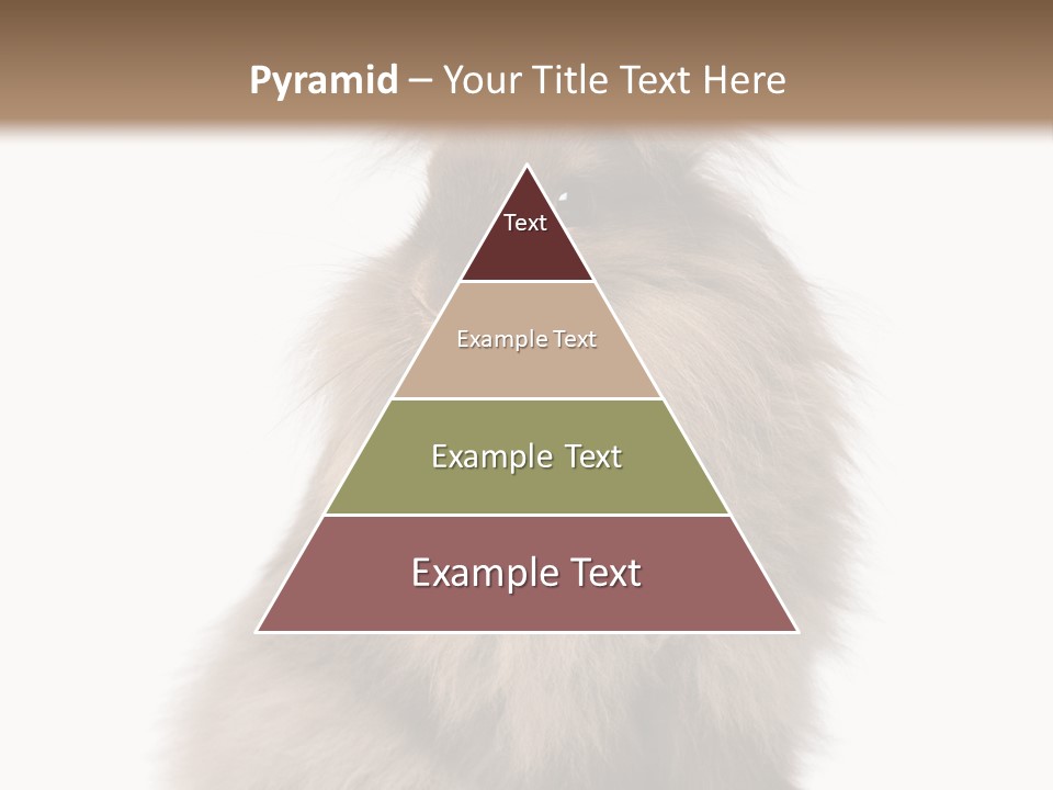 Bunny Longhaired Bunny Rabbit PowerPoint Template