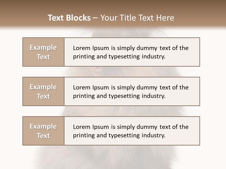 Bunny Longhaired Bunny Rabbit PowerPoint Template