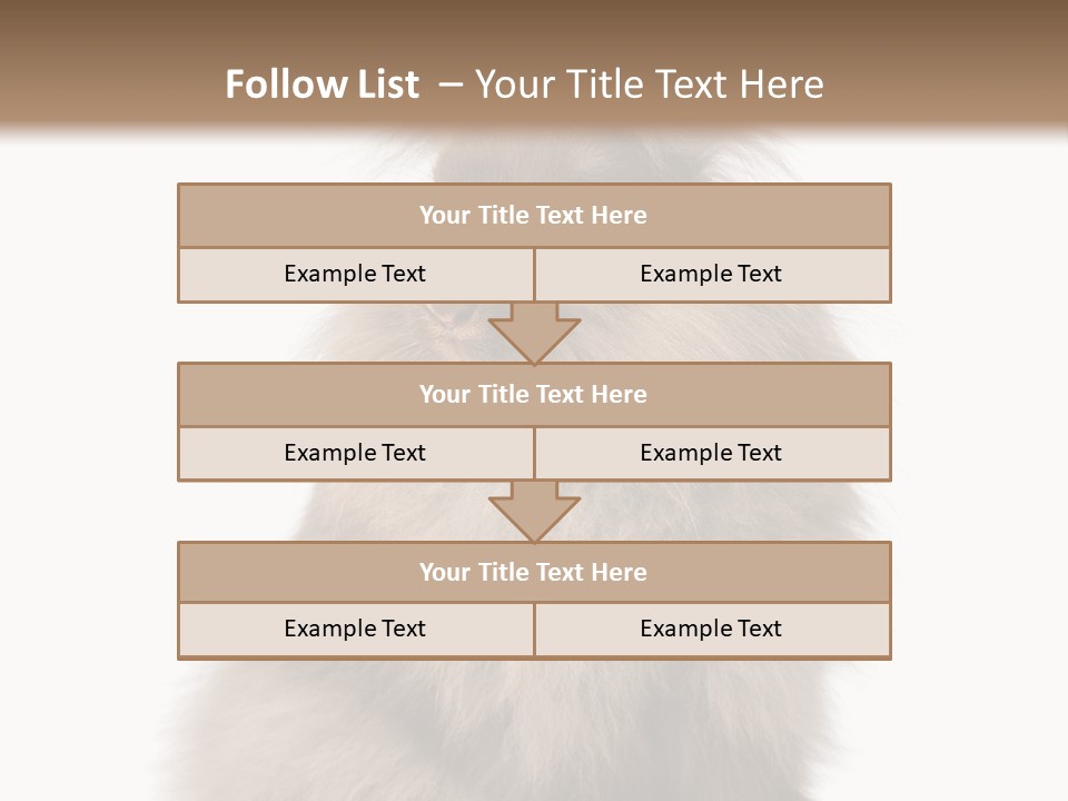 Bunny Longhaired Bunny Rabbit PowerPoint Template