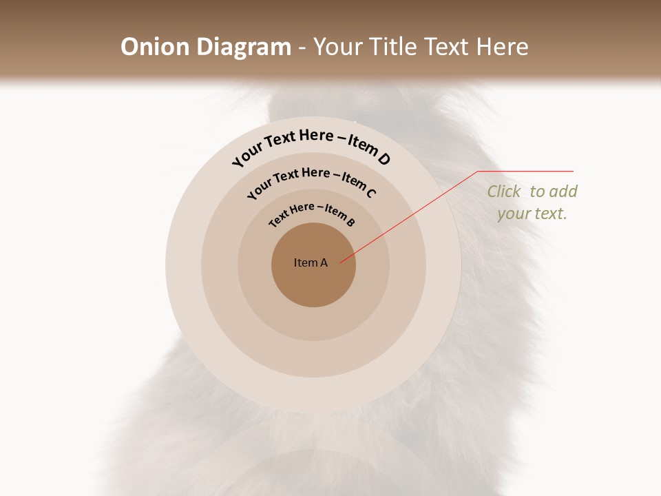 Bunny Longhaired Bunny Rabbit PowerPoint Template