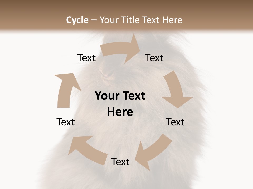 Bunny Longhaired Bunny Rabbit PowerPoint Template